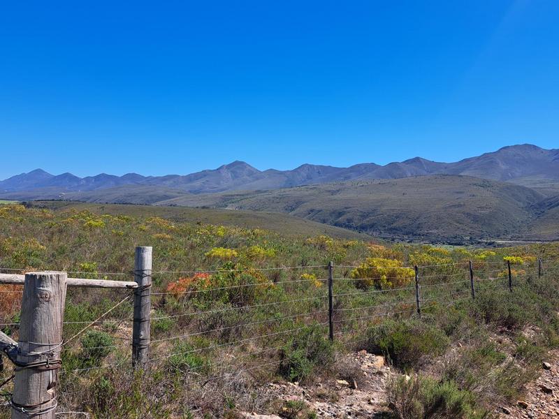 0 Bedroom Property for Sale in Kareedouw Eastern Cape